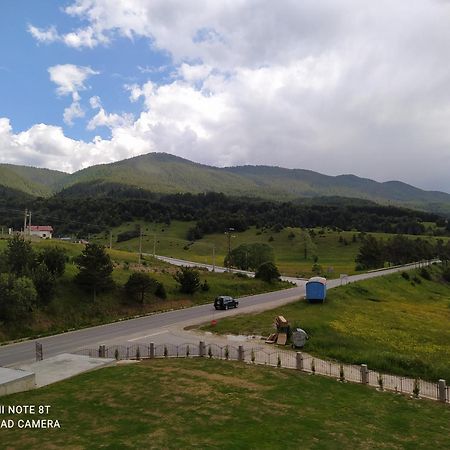 Вили Елеганс Сърница Ruang foto